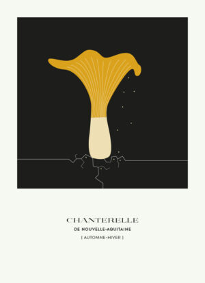 Affiche Automne-hiver la Chanterelle